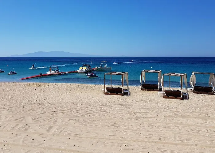 Mykonian Dianthus Elia (Mykonos)