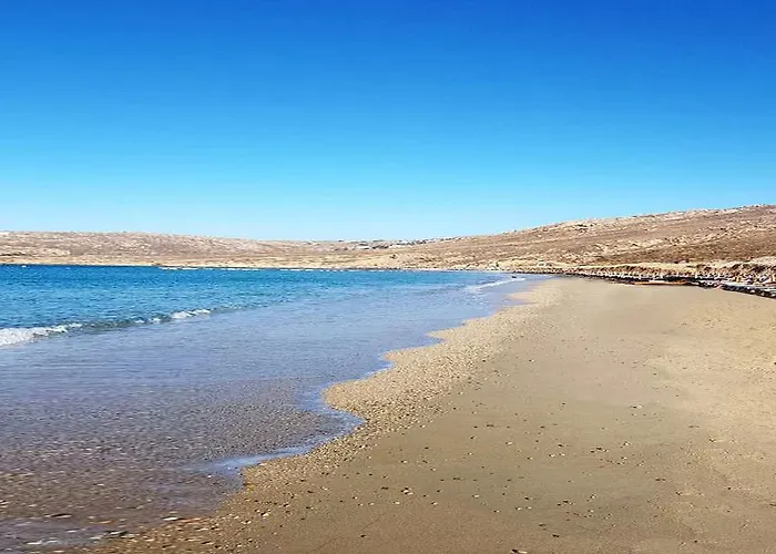 Mykonian Dianthus Ελιά