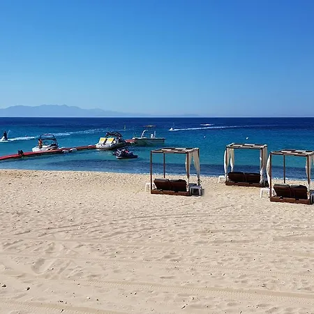 Mykonian Dianthus Elia (Mykonos)